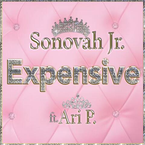 Expensive (feat. Ari P)