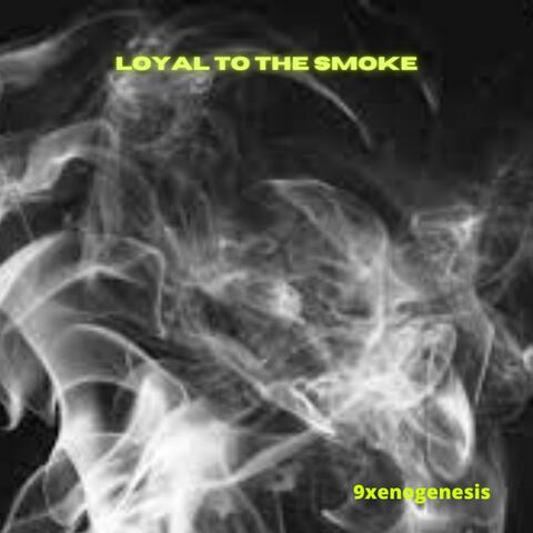 Loyal To The Smoke