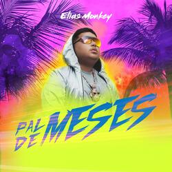 Pal De Meses