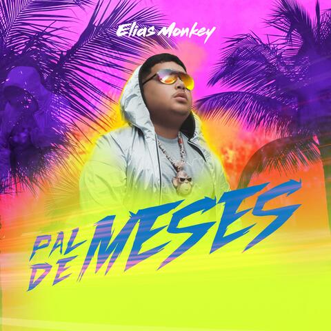 Pal De Meses