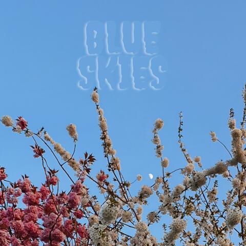 Blue Skies (feat. Qbanaa)