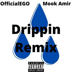 Drippin (feat. Mook Amir)