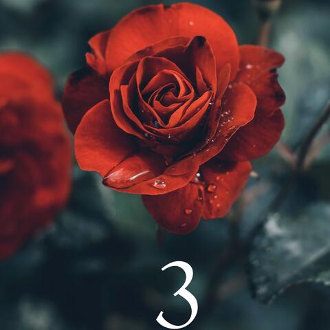 3 ROSE