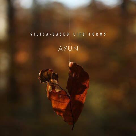 Silica-Based Life Forms