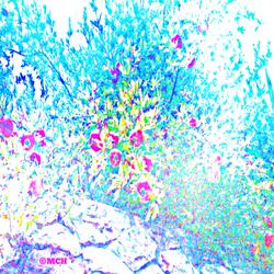 In the Eye of the Storm