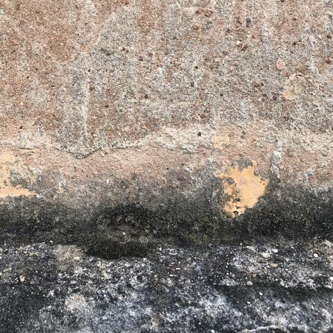 Eskilerden (Digging the Past I-2020)