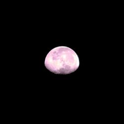 The Moon