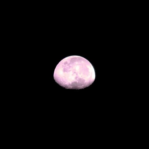 The Moon