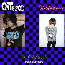 Not Afraid (feat. Skeletonprince)