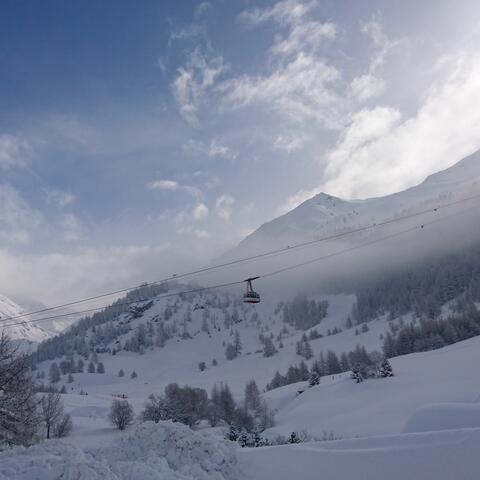 Iris Brainwave (2014)