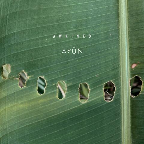 Awkinko