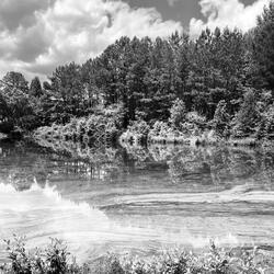 Divine Tree (feat. Chris Worldwide)