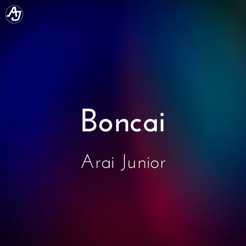 Boncai