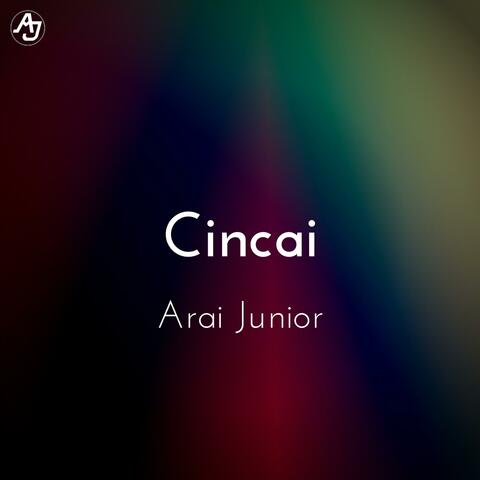 Cincai