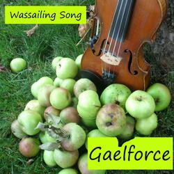 Wassailing Song