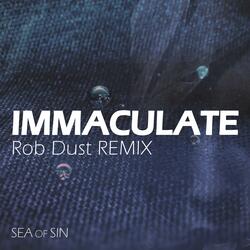 Immaculate (feat. Rob Dust)