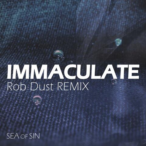 Immaculate (feat. Rob Dust) [Rob Dust Remix]