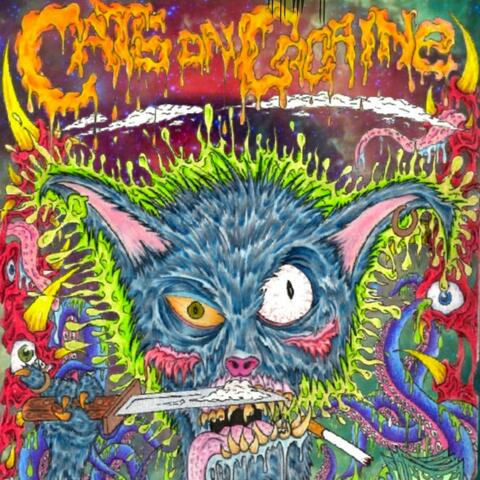 Cats On Cocaine