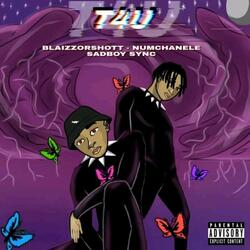 T4U (feat. Blaizzorshott-numcha'nale)