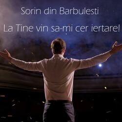 La tine vin sa-mi cer iertare!
