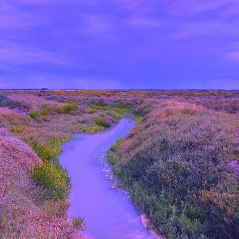 Secret Places