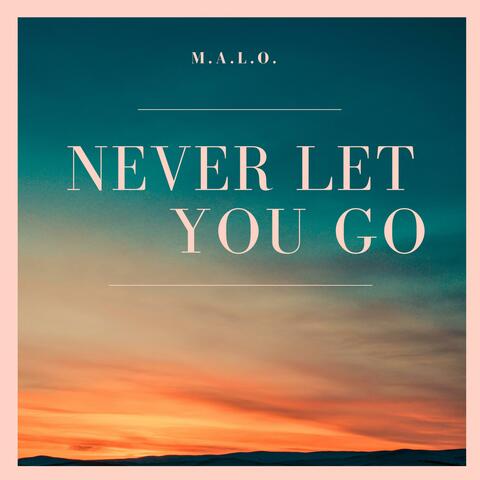 Never Let You Go