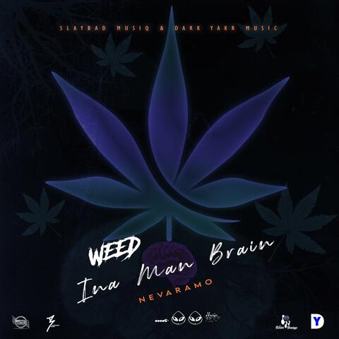 Weed Ina Man Brain