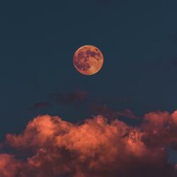 Starboard (Escape to Cozumel)