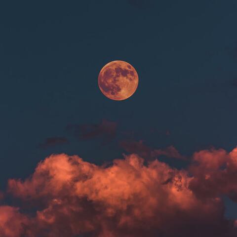 Starboard (Escape to Cozumel)