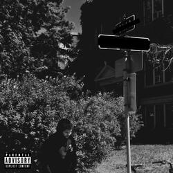 Animal In An Expensive Store