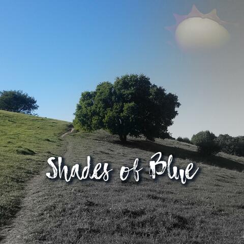 Shades of Blue (feat. Larry Mitchell)
