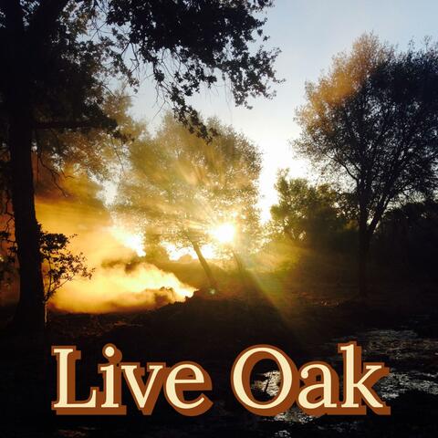Live Oak (Live)