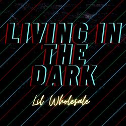 Living in The Dark