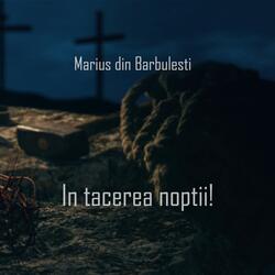 In tacerea noptii!