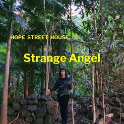 Strange Angel