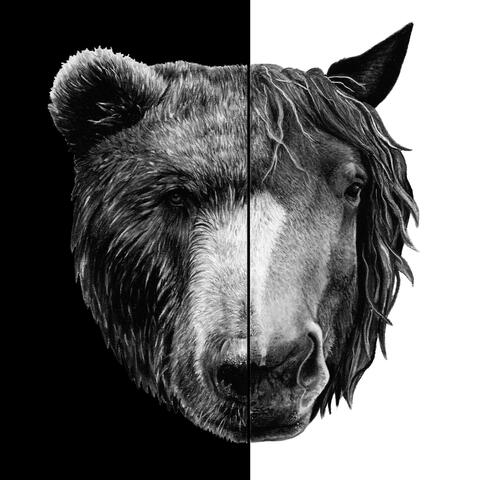 Mammal