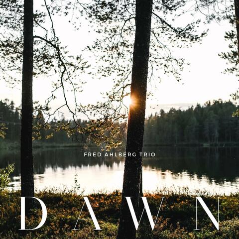 Dawn