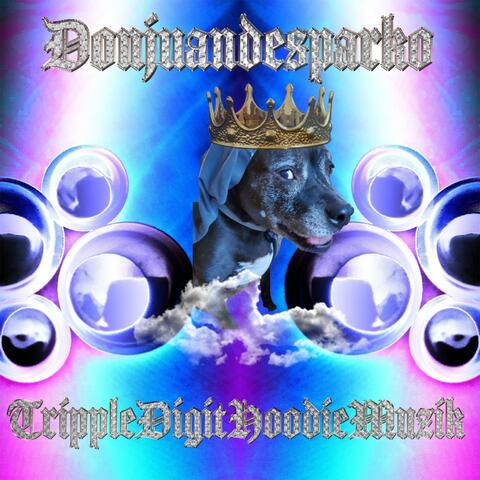 TrippleDigitHoodieMuzik