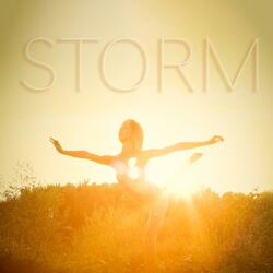 Storm (feat. Kaja Mianowana)