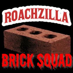 BRICK SQUAD