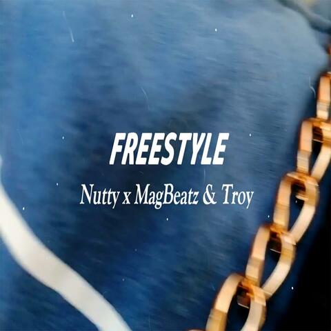 FREESTYLE (feat. Troy & MagBeatz)
