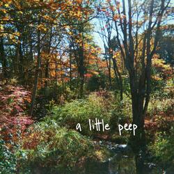 a little peep