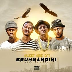 Ebumnandini