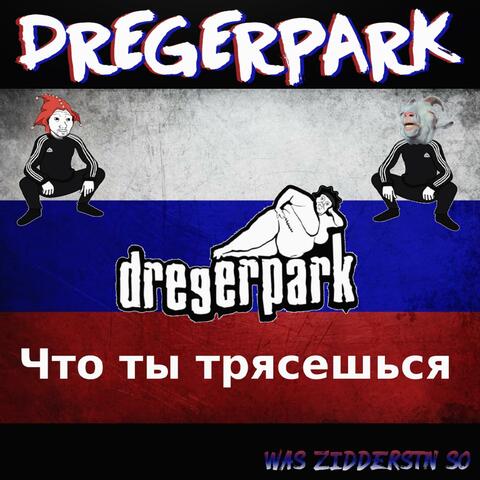 Was zidderstn so? (Dregerpark) (feat. Diener Danken)