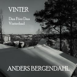 Vinterbad
