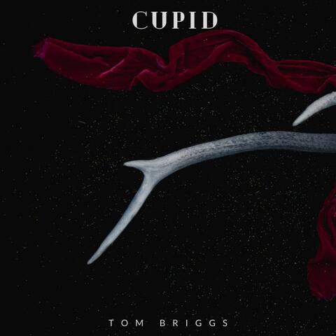 Cupid