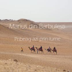 Pribeag azi prin lume