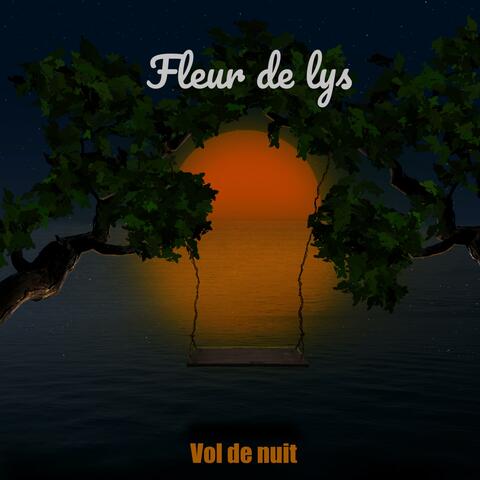 Vol de nuit