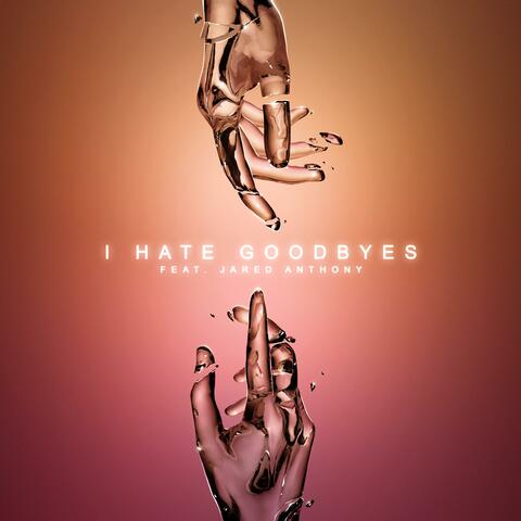 I Hate Goodbyes (feat. Jared Anthony)