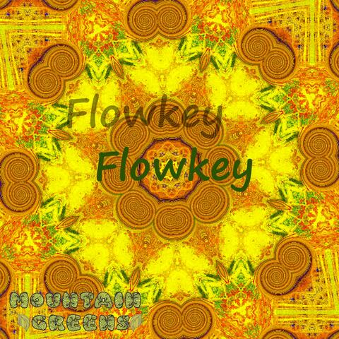 Flowkey